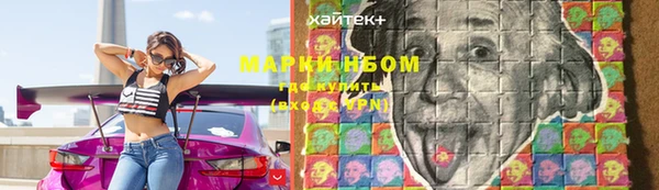 хмурый Алексин