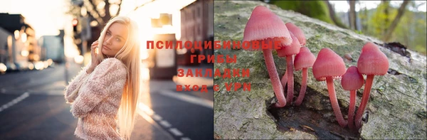 хмурый Алексин