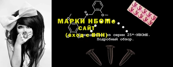 хмурый Алексин