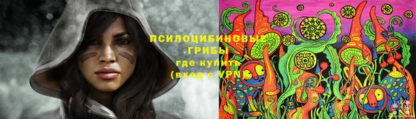 хмурый Алексин