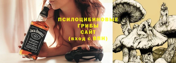 гашик Алзамай