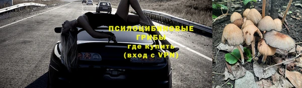 гашик Алзамай